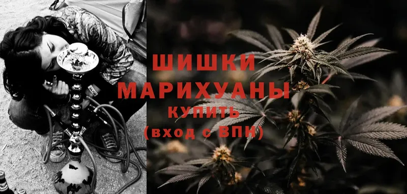 где купить наркоту  Пудож  Бошки Шишки White Widow 